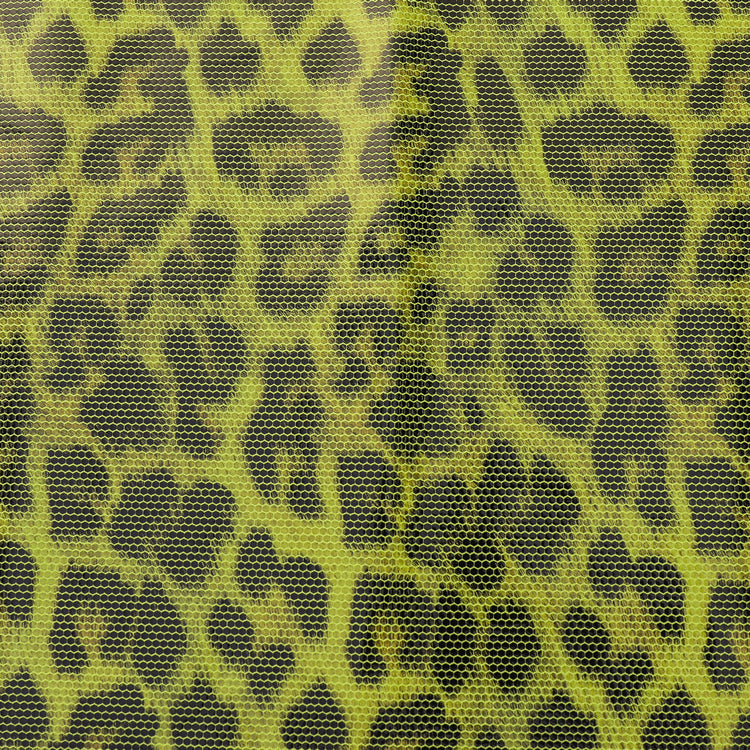 Leopard Print Series 5053#